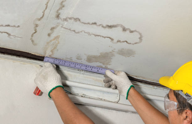 Reliable Structural Drying contractor in Pittsford, MI by Water Damage Irwin